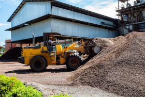 IPB Dorong Pemanfaatan Limbah Sawit Jadi Produk Bernilai Ekonomi